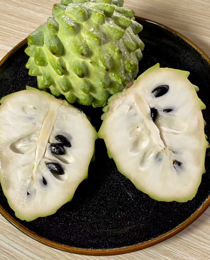 🤩Grow Your Own Tropical Treasure-Organic Soursop (Graviola) Seeds-30pcs Non-GMO Heirloom Tropical Fruit seeds